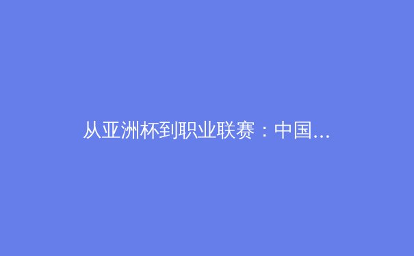 从亚洲杯到职业联赛：中国体育产业变革中的机遇与挑战 - 2